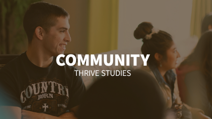 Study 2 – Community