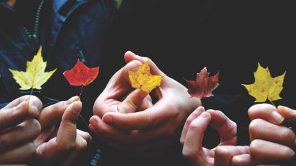 Halloween : Pourquoi faire un Pitch et fait ?